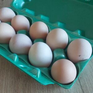 Jajka kurze - 10 sztuk